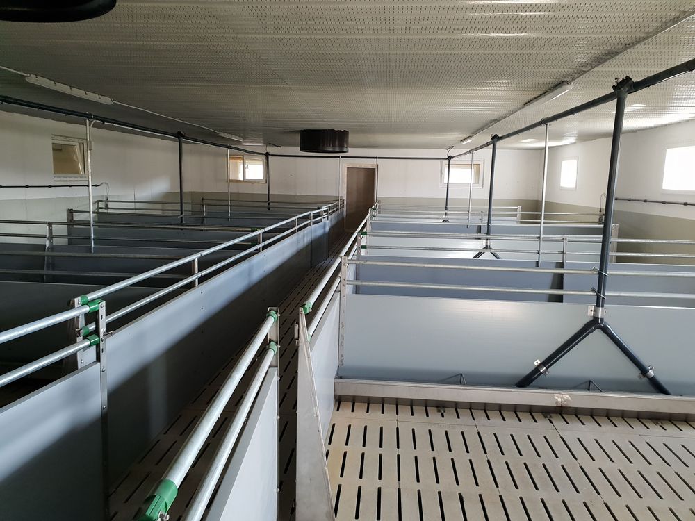 Pig farming equipment