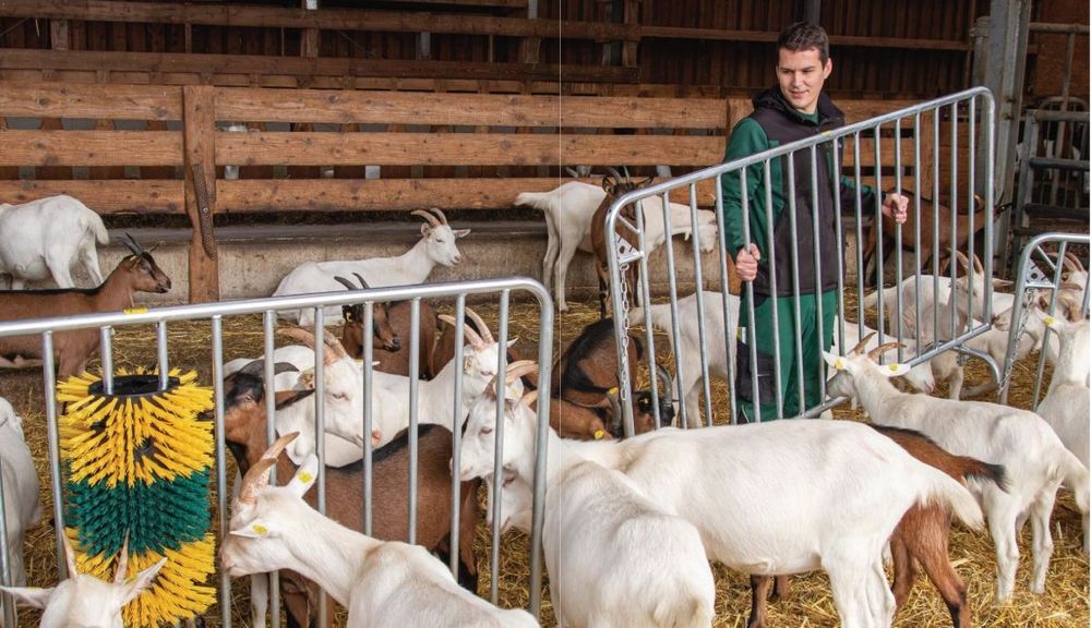 Sheep and goat equipment from Kancler Sistem