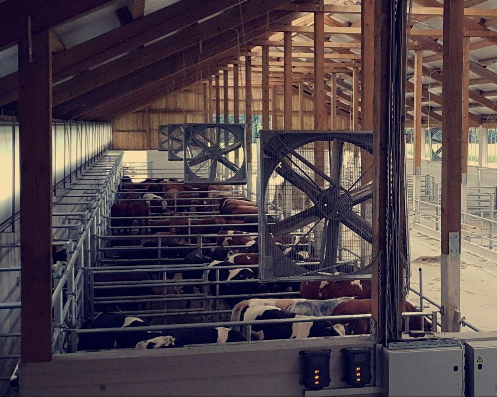 Barn ventilation systems