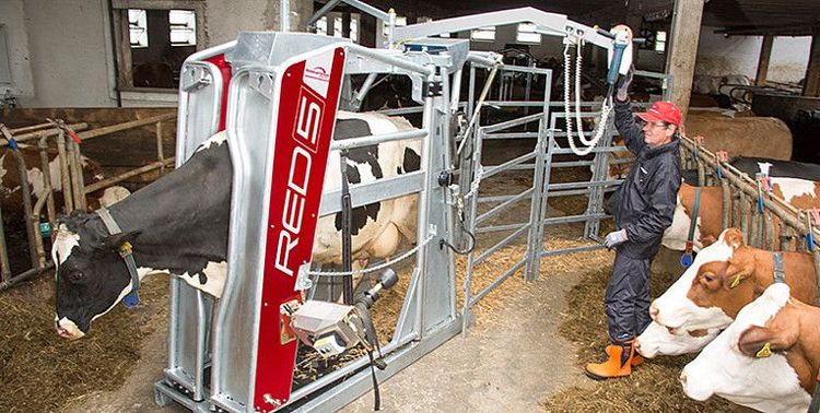 Hoof-care equipment